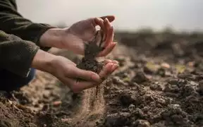 Une personne ramassant de la terre dans ses mains