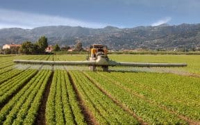 Tracteur dans un champ