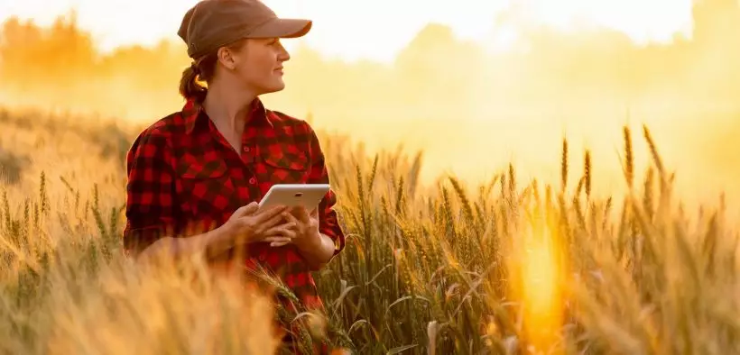 Femme dans un champ avec une tablette à la main