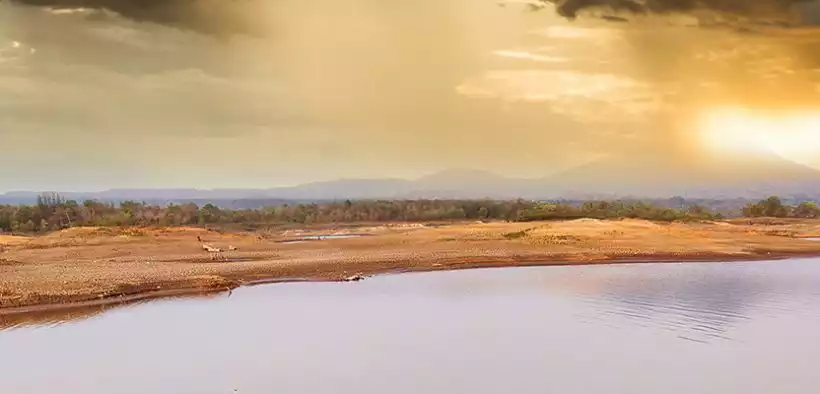 La FAO prévient : le futur n'est pas rose et les menaces environnementales, avec un impact certain sur l'alimentation, nous guettent ! © AdobeStock