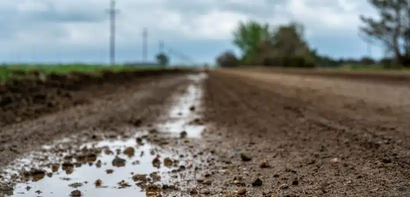 Triste réalité de l'agriculture